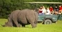 Bluewater Bay Accommodation Attractions Kragga Kamma Game Park Bluewater Bay Accommodation Attractions Kragga Kamma Game Park