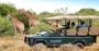 Bluewater Bay Accommodation Attractions Shamwari Game Reserve Bluewater Bay Accommodation Attractions Shamwari Game Reserve