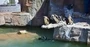 Bluewater Bay Accommodation Attractions Samrec Bluewater Bay Accommodation Attractions Samrec